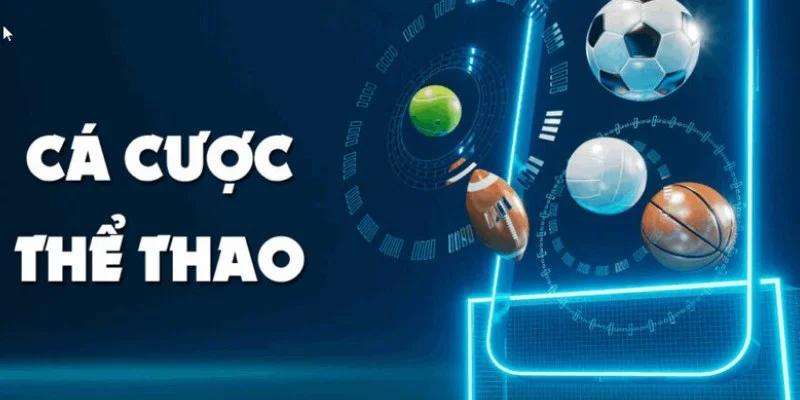 Khám phá các bộ môn tại sảnh cá cược thể thao Vnz6