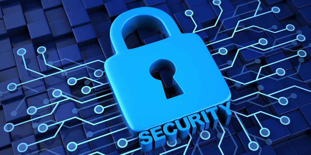 Mục đích Vnz6 sử dụng thông tin